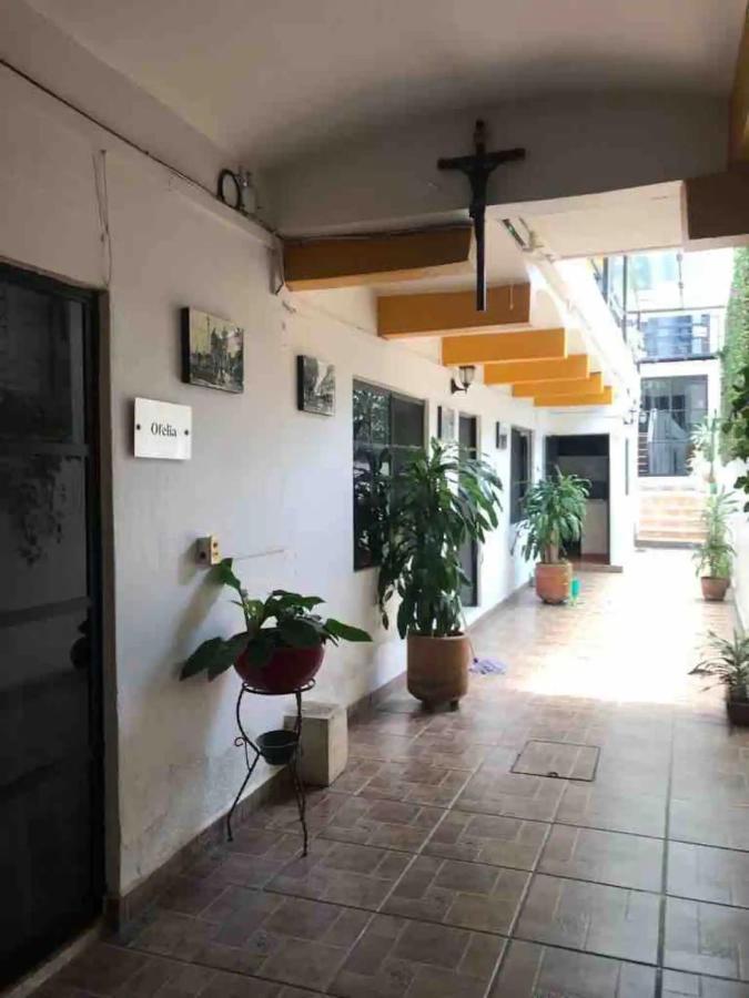 Appartamento Cute Apart Excellently Located Oaxaca Esterno foto