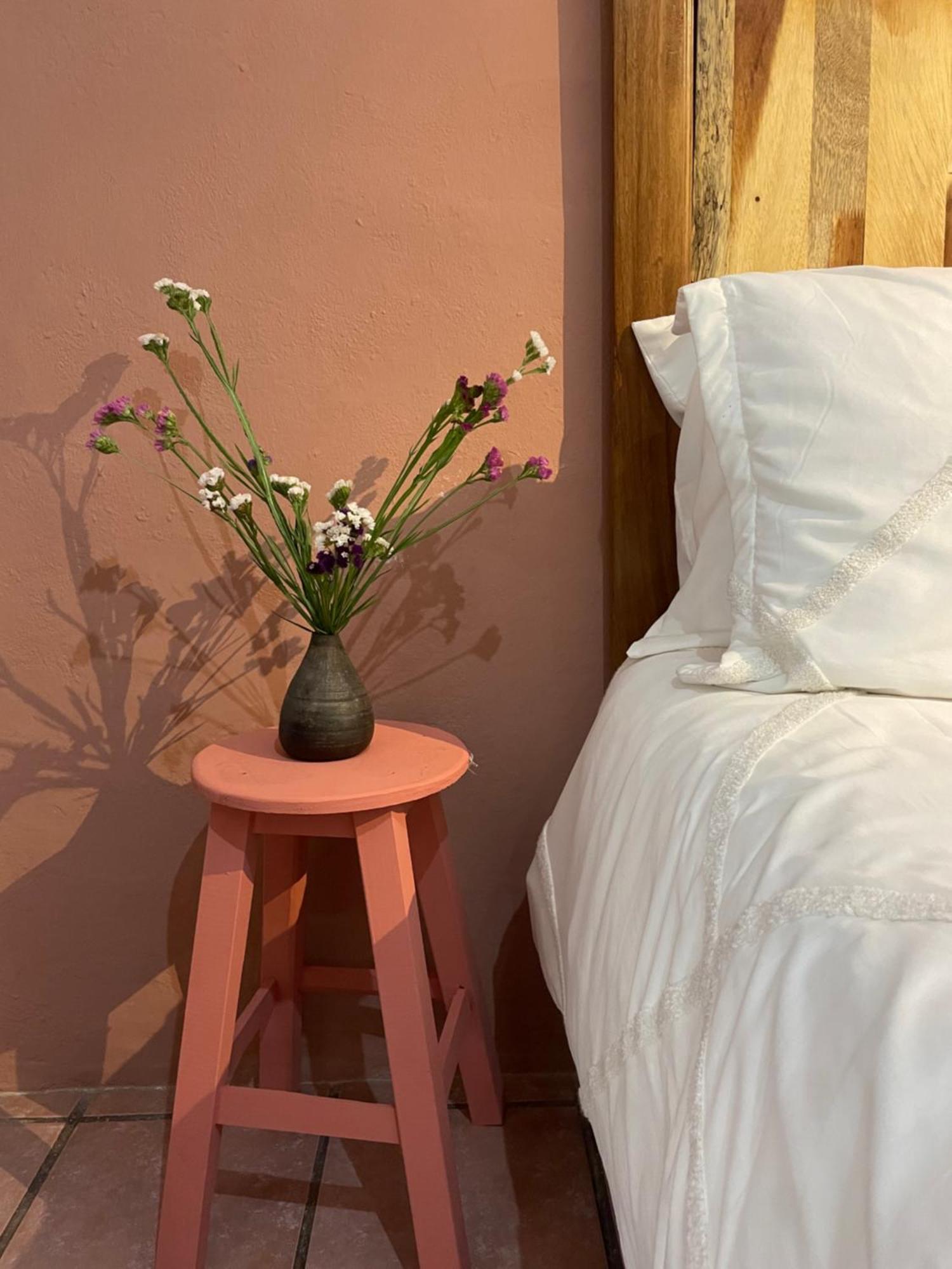 Appartamento Cute Apart Excellently Located Oaxaca Esterno foto