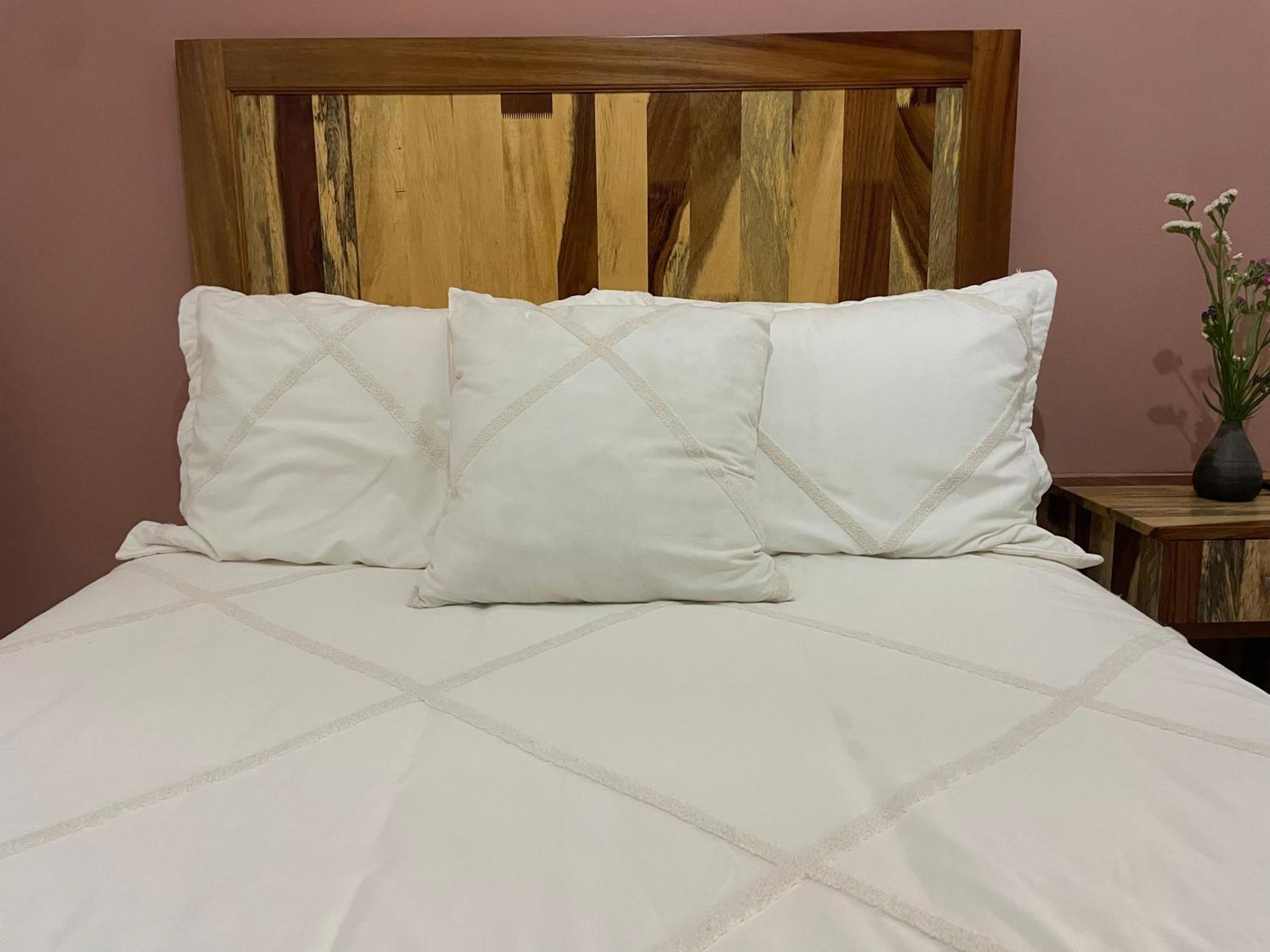 Appartamento Cute Apart Excellently Located Oaxaca Esterno foto
