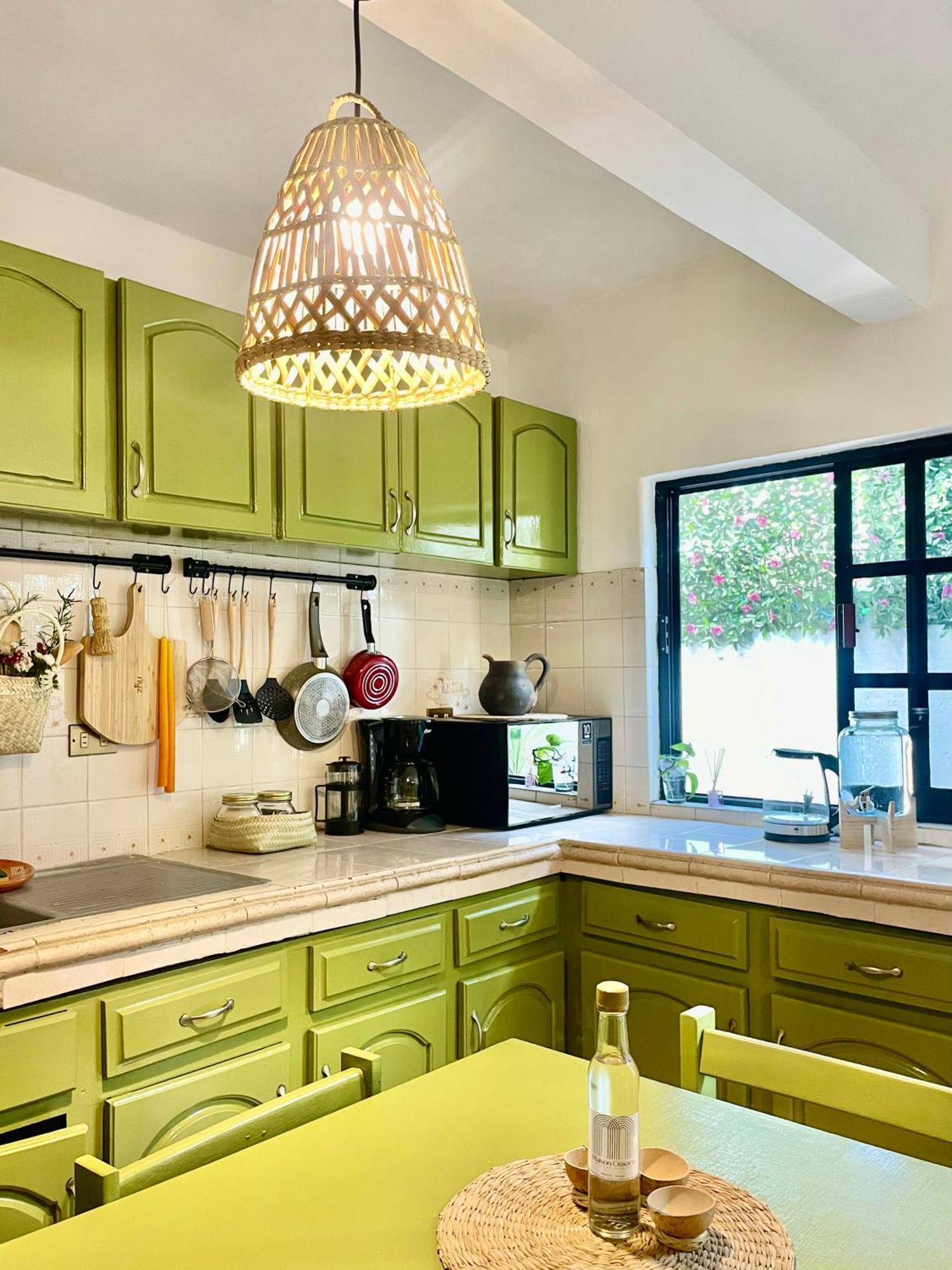 Appartamento Cute Apart Excellently Located Oaxaca Esterno foto