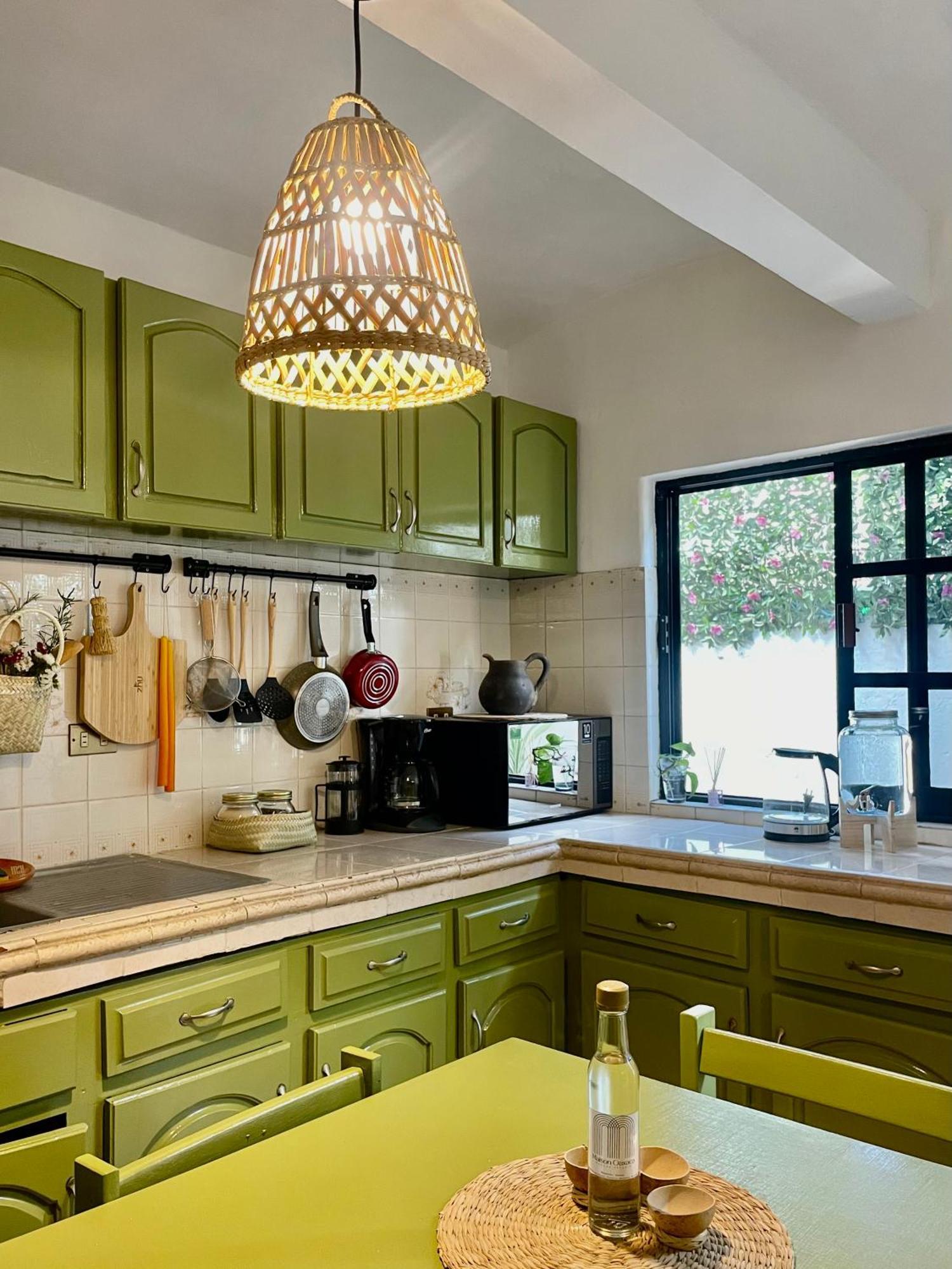 Appartamento Cute Apart Excellently Located Oaxaca Esterno foto